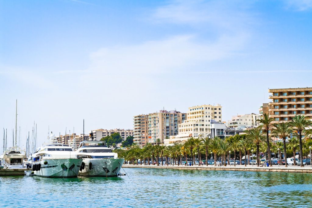 帕爾馬(Palma)