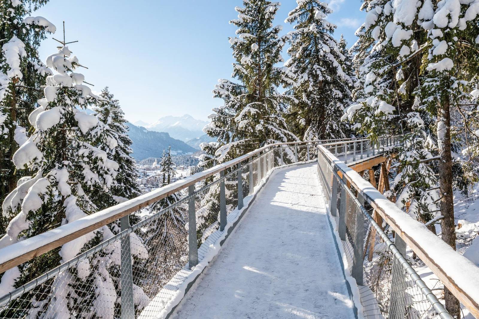 LAAX Senda dil Dragun 雪中樹頂步道
