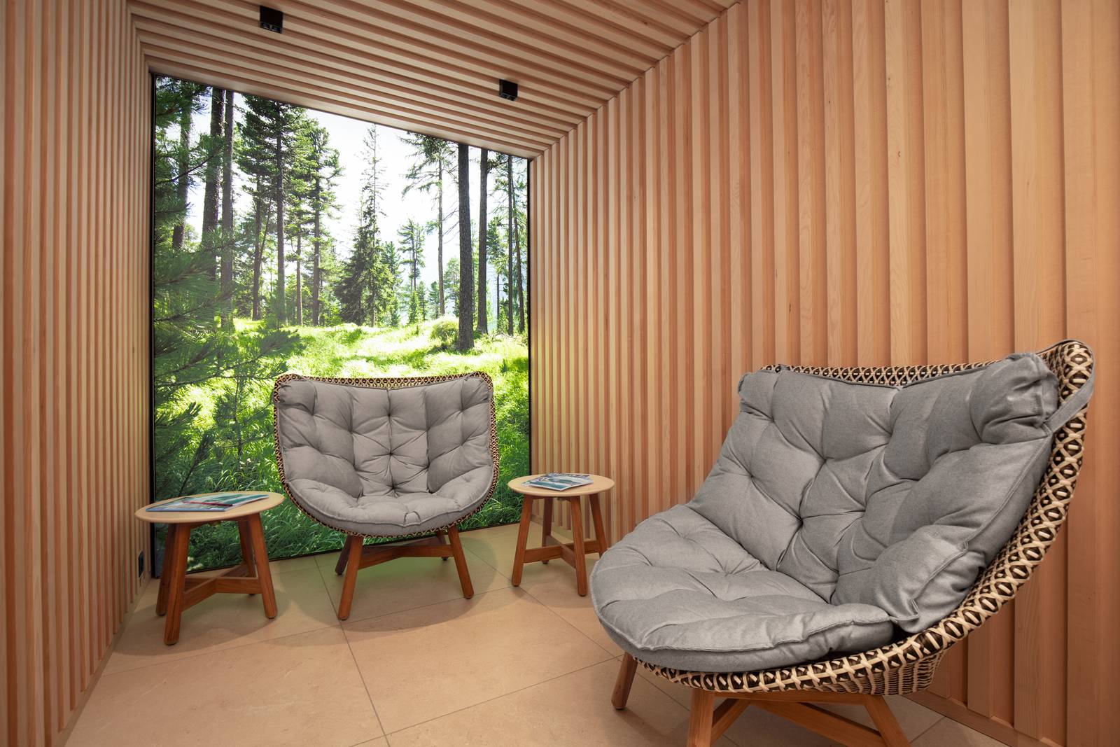 Sunstar Pontresina Mountain Relax 休息室