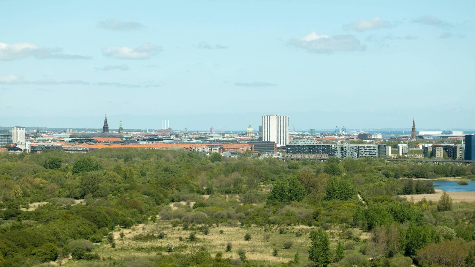 從酒店高樓層眺望 Amager 自然公園與哥本哈根市區
