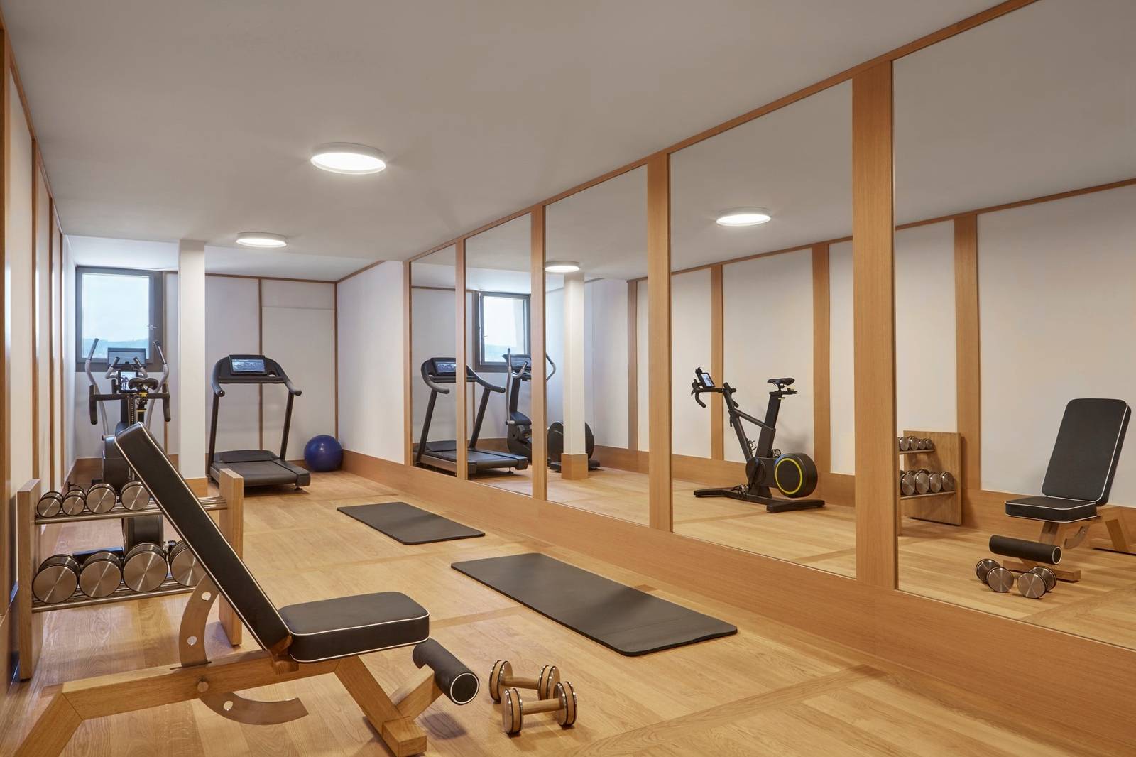 Alex Lake Zürich 健身房