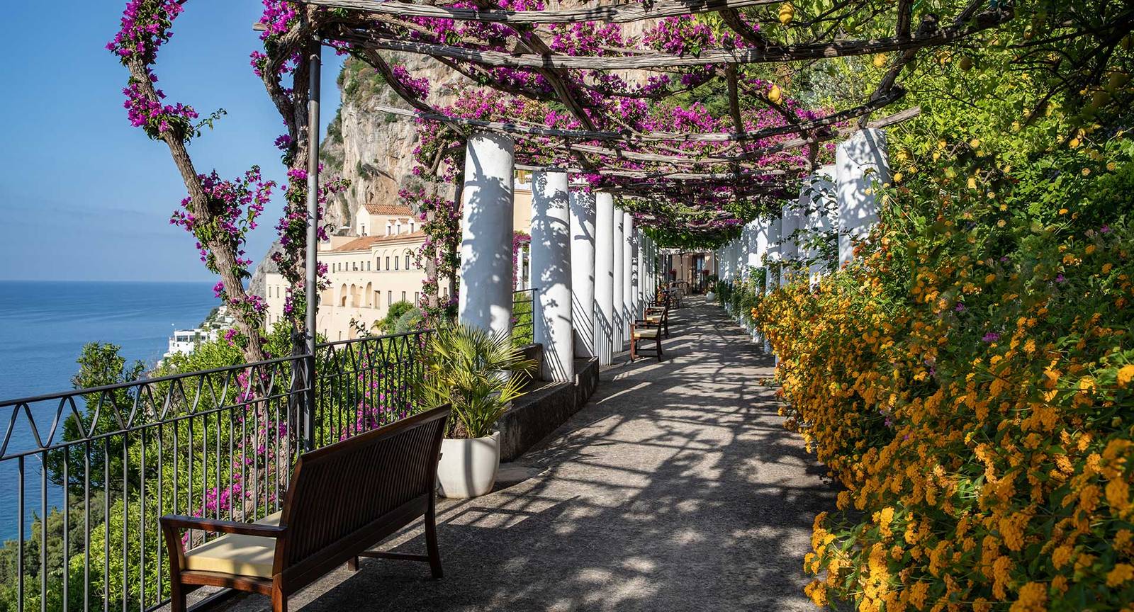 阿瑪菲 Anantara Convento di Amalfi 九重葛花架下的僧侶步道
