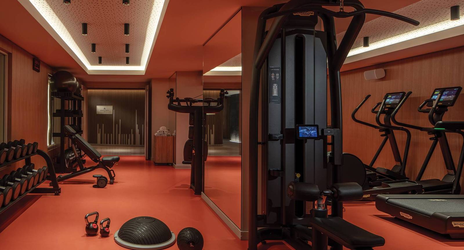 尼斯 Anantara Plaza Nice Hotel 健身房