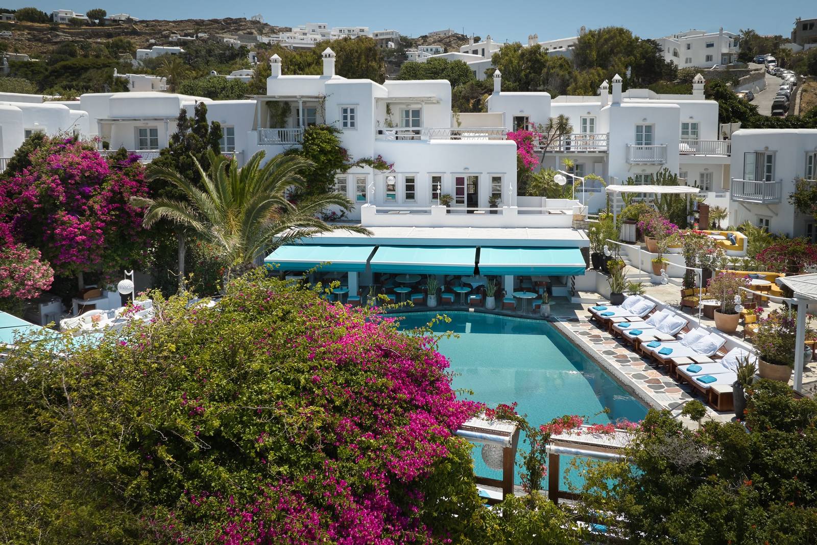Belvedere Mykonos 九重葛環繞的主泳池
