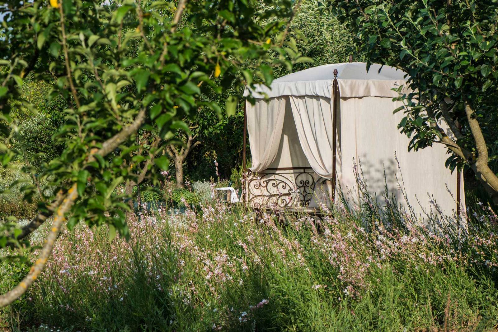 Borgo Santo Pietro Spa 花園裡的布幔療程床
