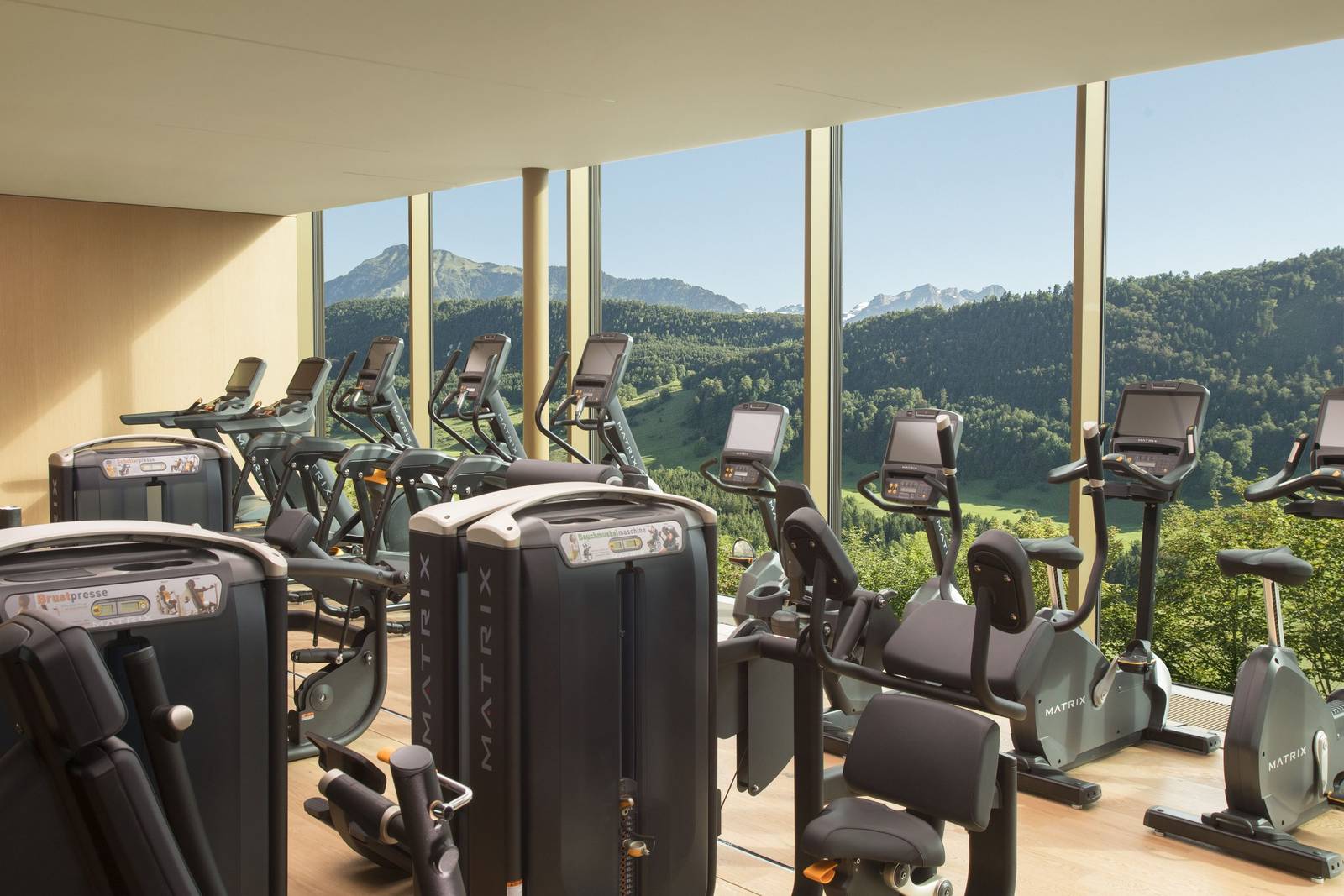 Bürgenstock Alpine Spa 湖景健身房