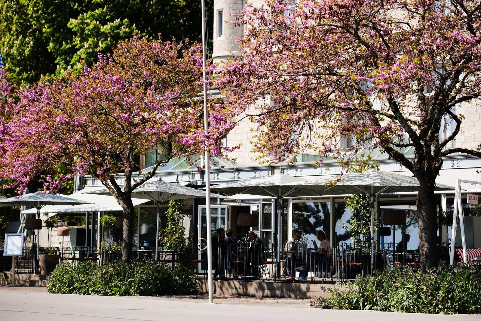 洛桑 Château d'Ouchy 57° Grill 花樹下的露台