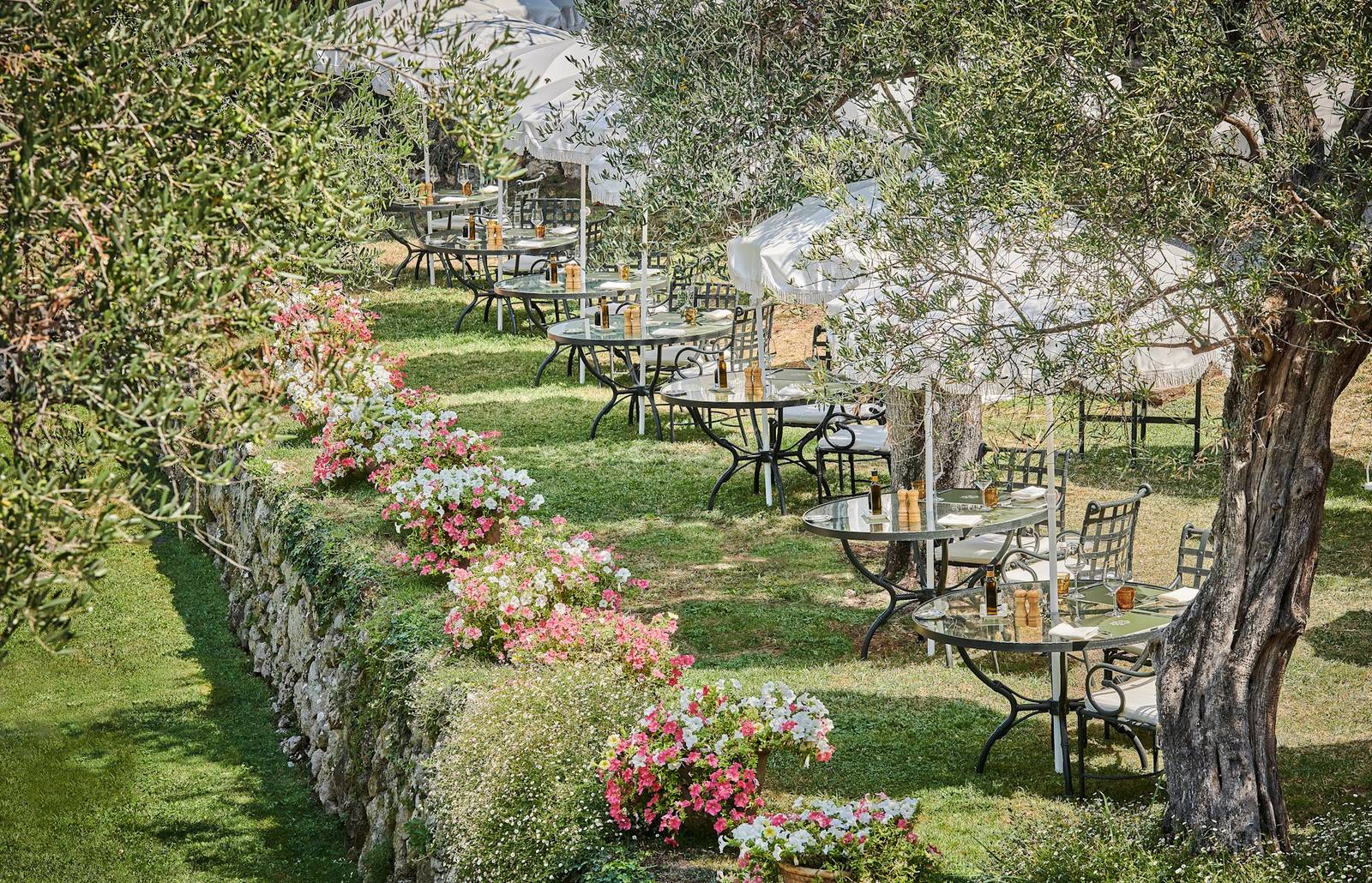 旺斯 Château Saint-Martin & Spa L'Oliveraie 橄欖樹下的座位