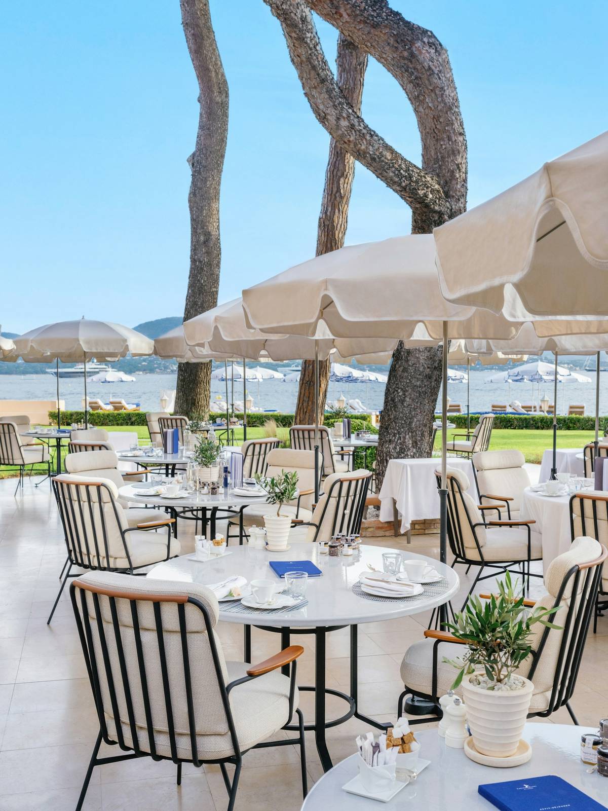 Cheval Blanc St-Tropez La Terrasse 松樹下的海景露台
