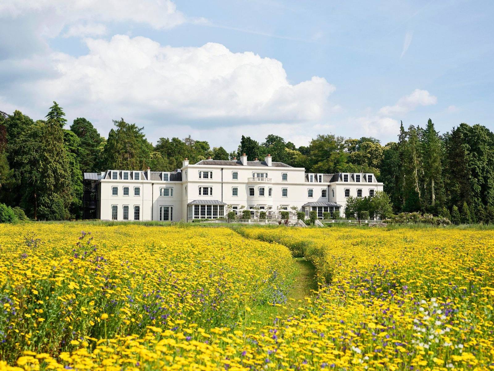 Coworth Park 喬治亞式主館與夏日野花草原