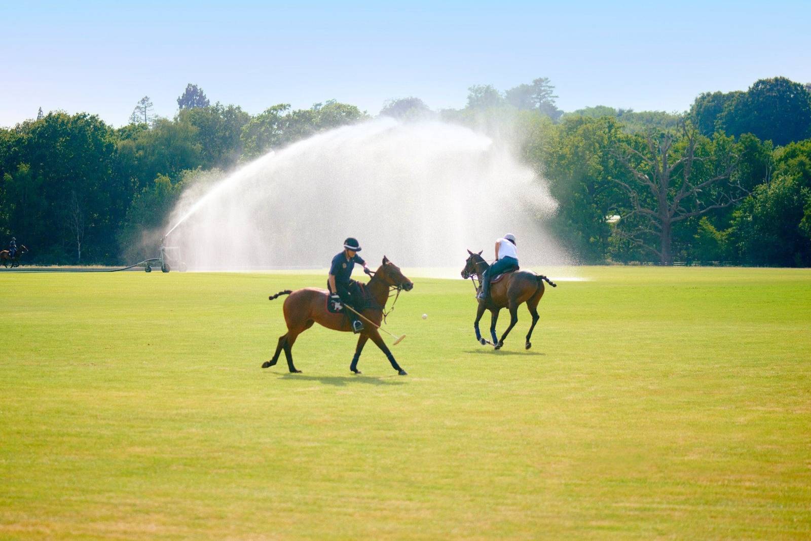 Coworth Park 莊園內的馬球場