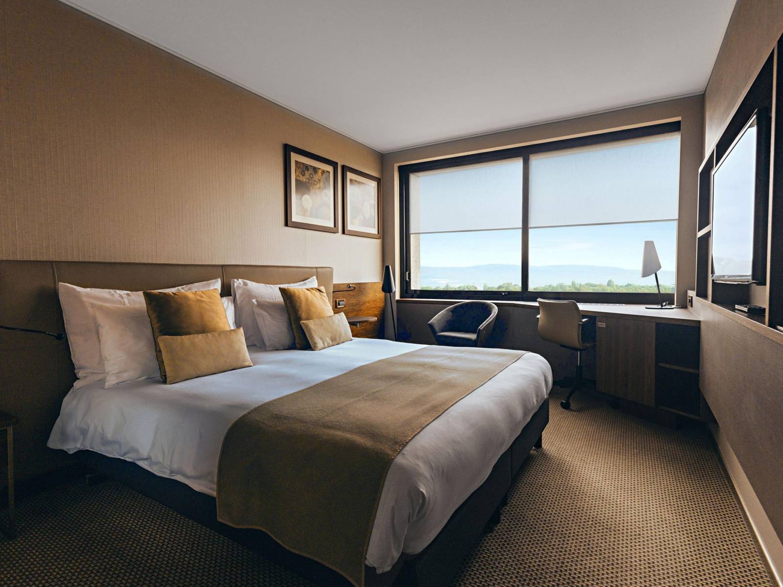 日內瓦 Crowne Plaza Geneva Standard 客房