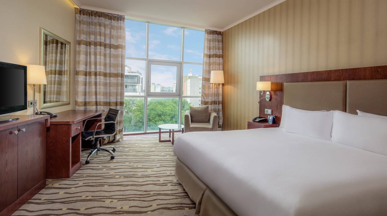 布拉提斯拉瓦 DoubleTree by Hilton King Guest Room 大床客房