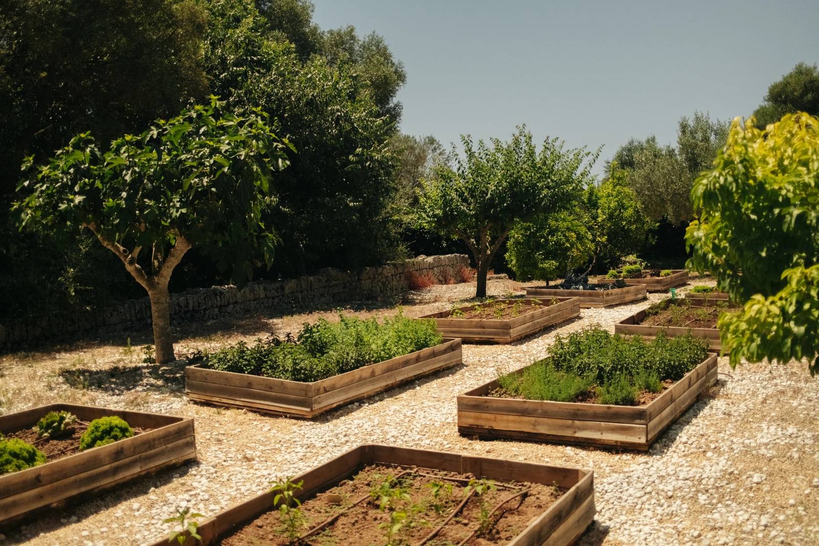 Finca Serena Mallorca 供應廚房的莊園菜園