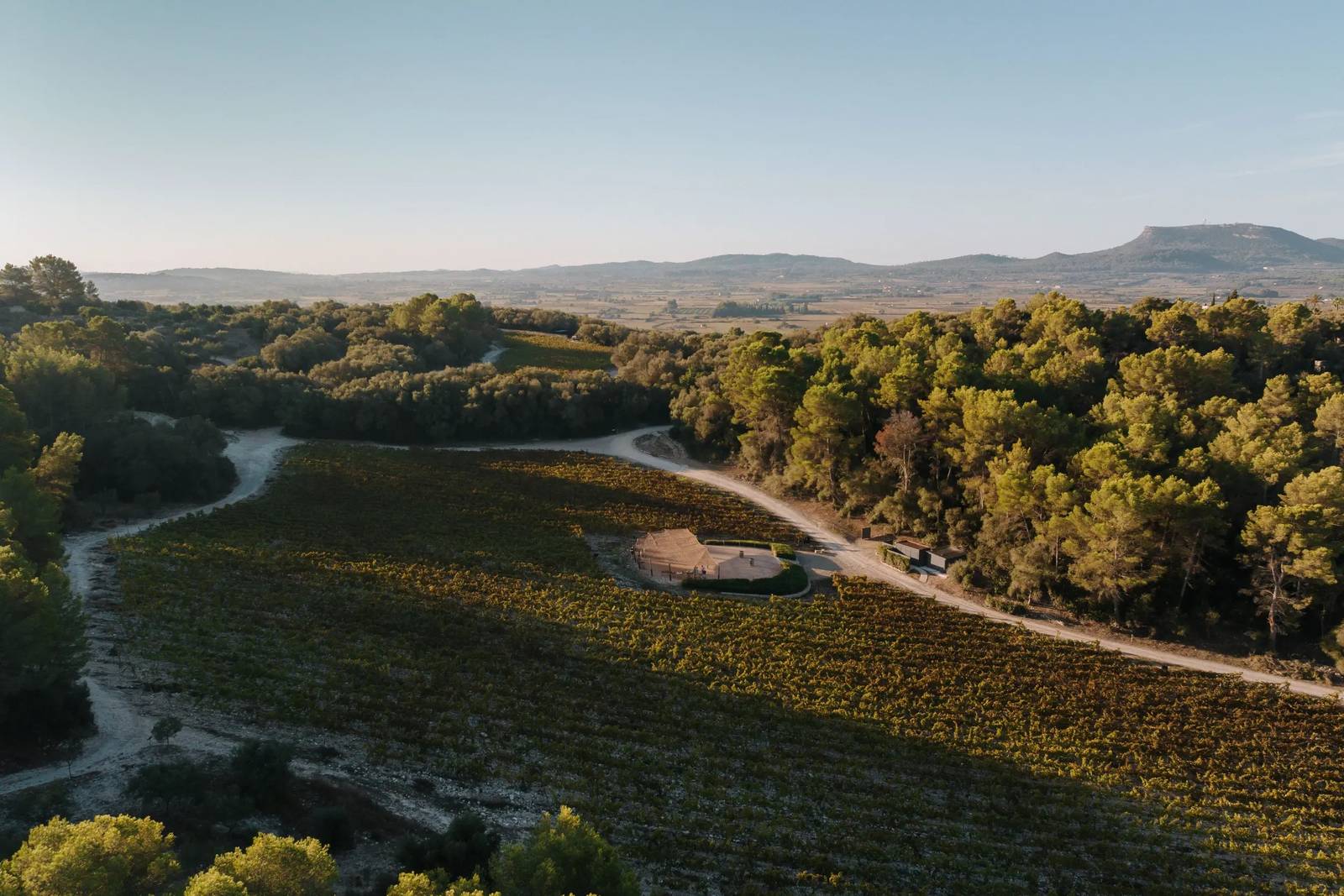Finca Serena Mallorca 莊園葡萄園與 Pla de Mallorca 平原