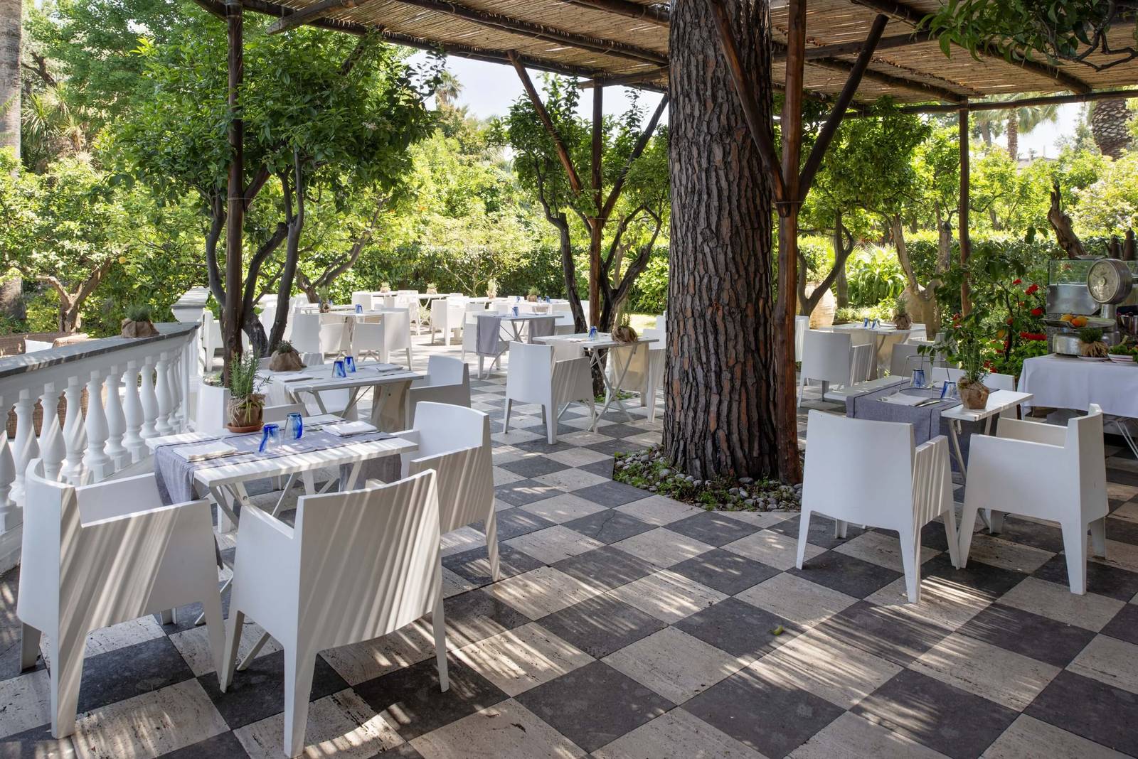 Grand Hotel Cocumella L'Agrumeto 樹蔭下的午餐座位