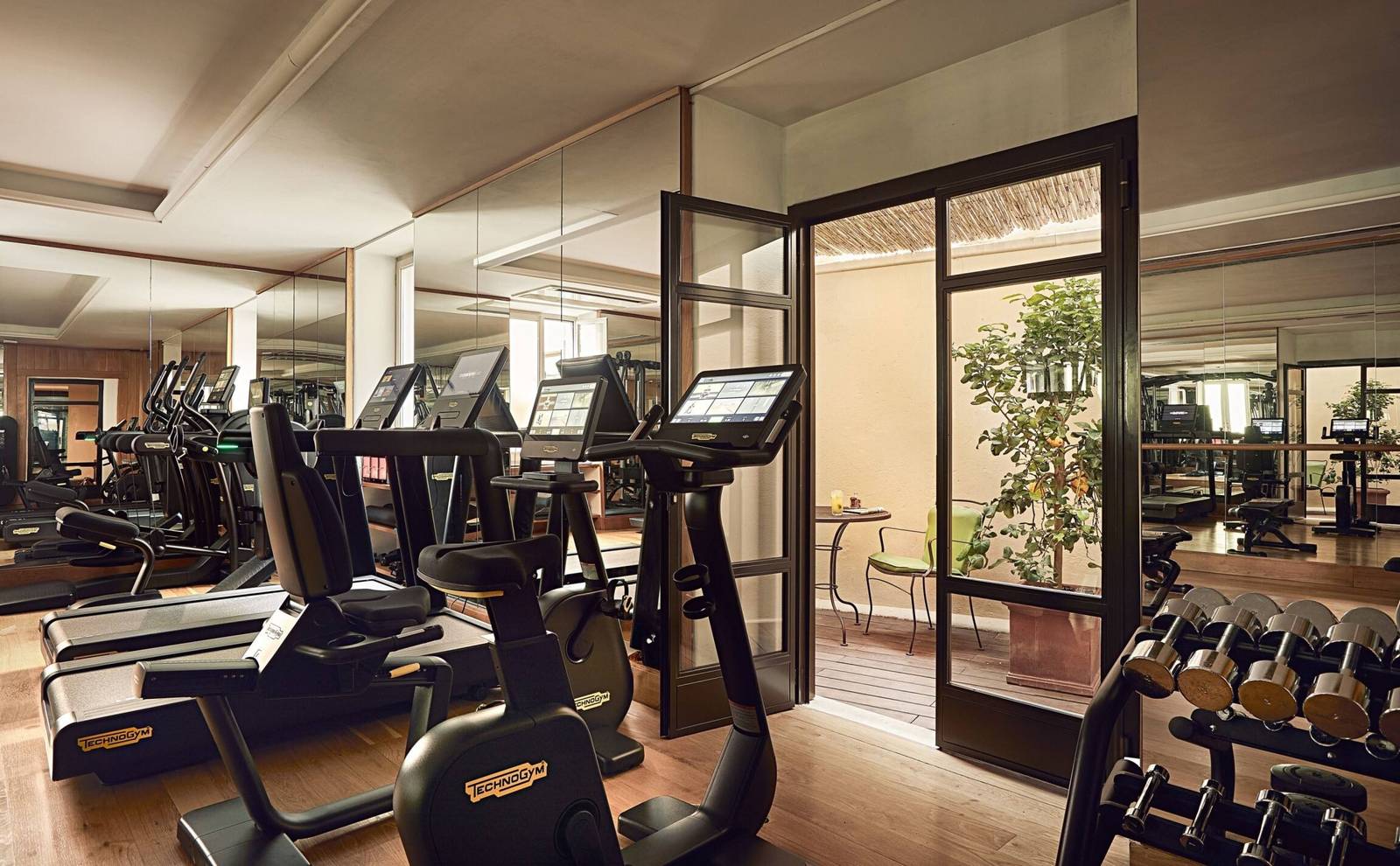 Hotel de Russie 健身房