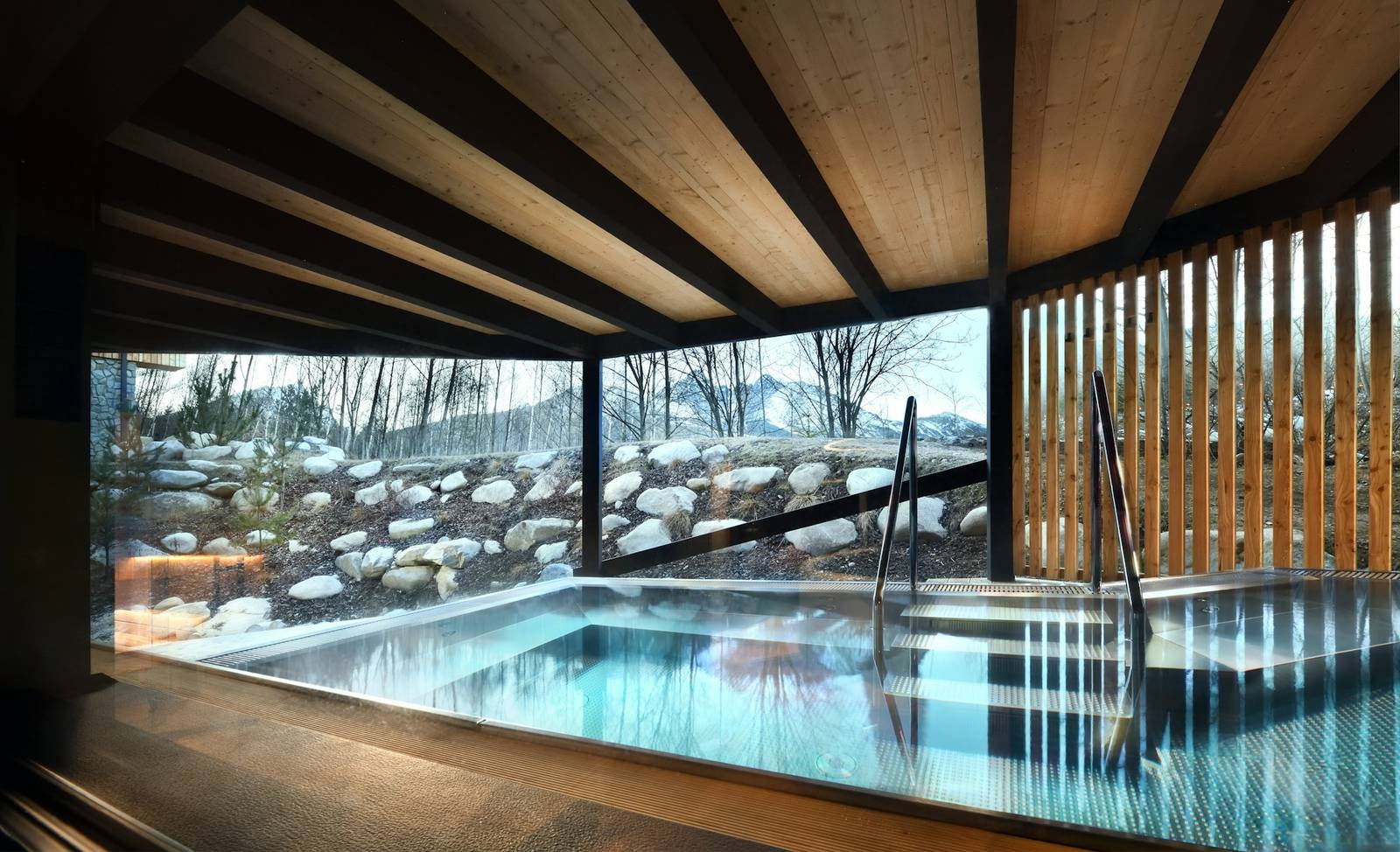 ELEMENTS SPA 面向山林的泳池