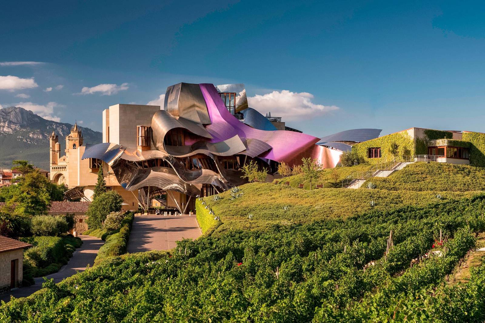 Marqués de Riscal 酒店的 Frank Gehry 設計建築與前方葡萄園
