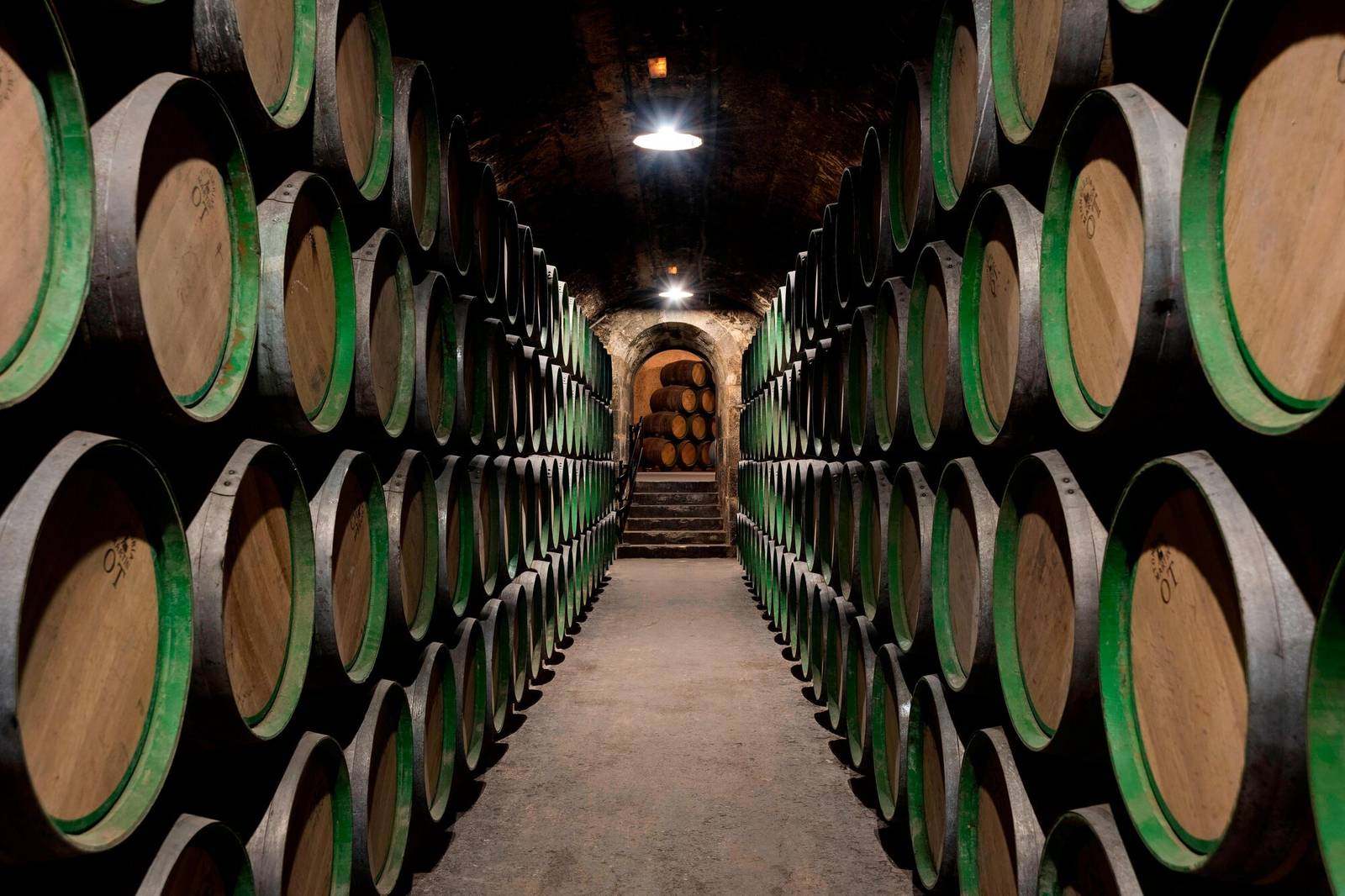 Marqués de Riscal 酒莊地下的橡木桶酒窖