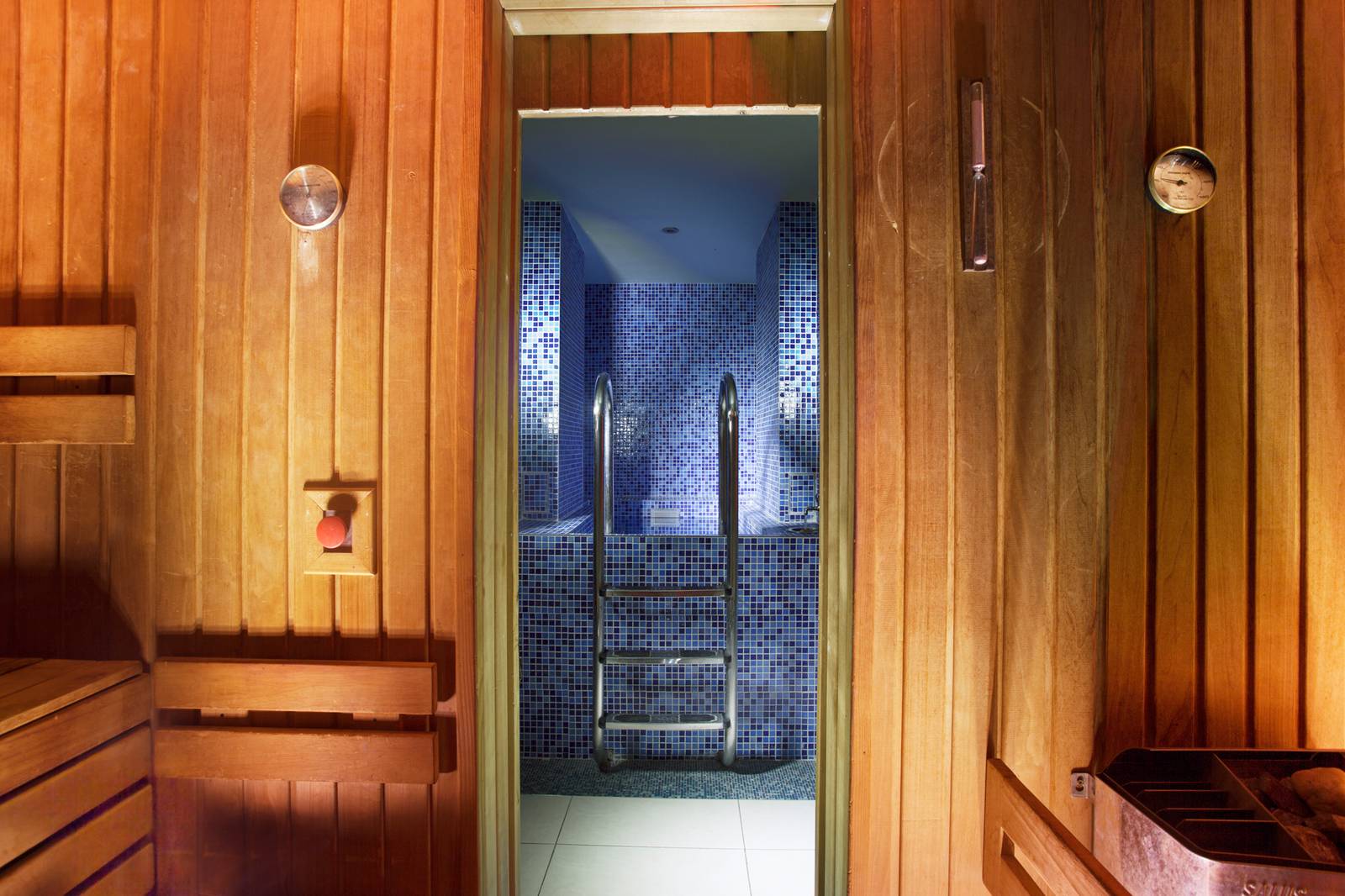 Hotel Paris Prague Spa 三溫暖與蒸氣室