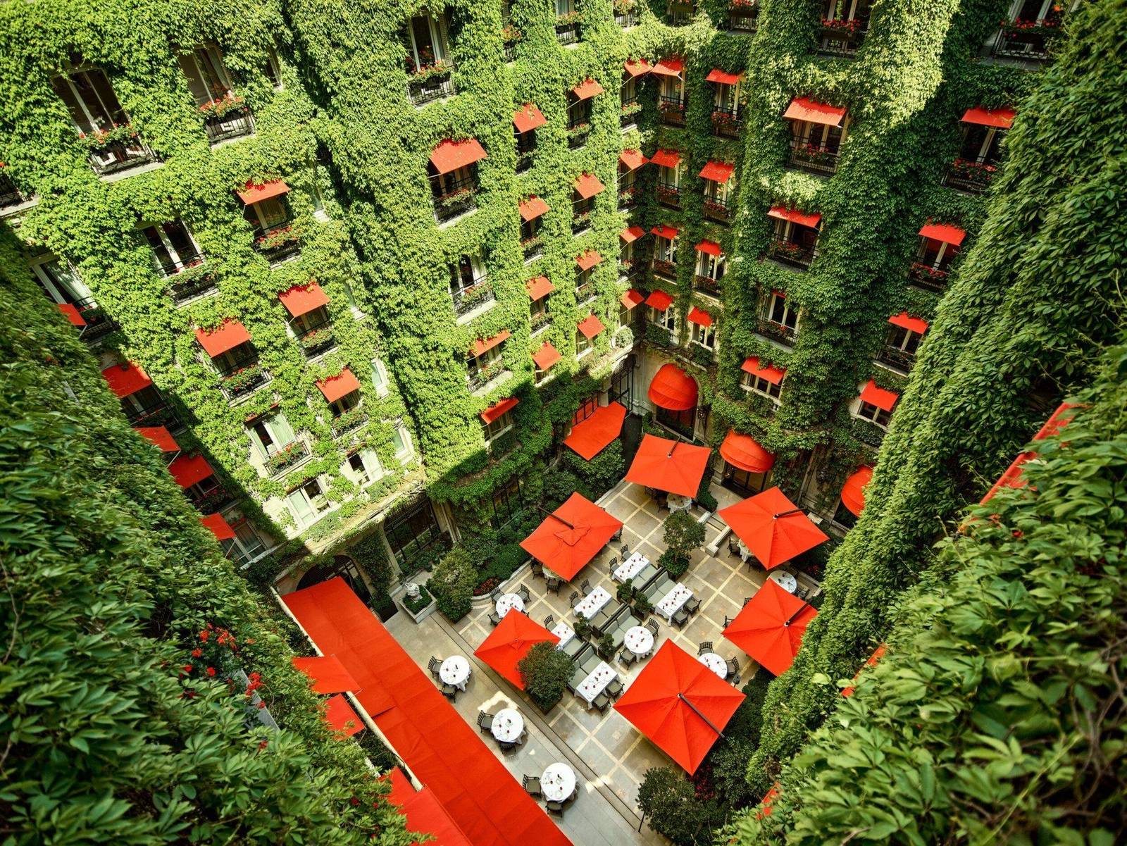 俯瞰巴黎雅典娜廣場酒店 La Cour Jardin 綠牆庭園