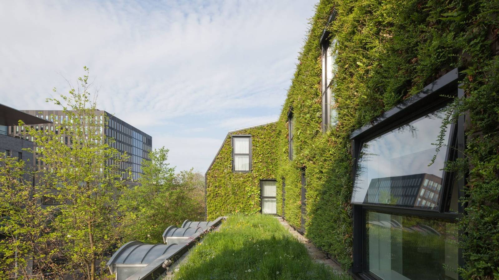 阿姆斯特丹 Hyatt Regency Amsterdam 綠牆外觀