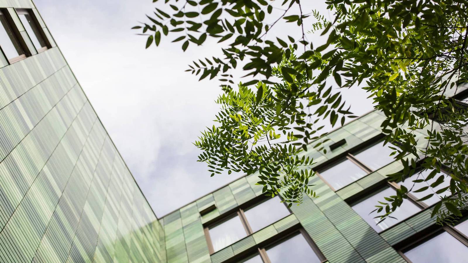 阿姆斯特丹 Hyatt Regency Amsterdam 所在的 Plantage 街區建築