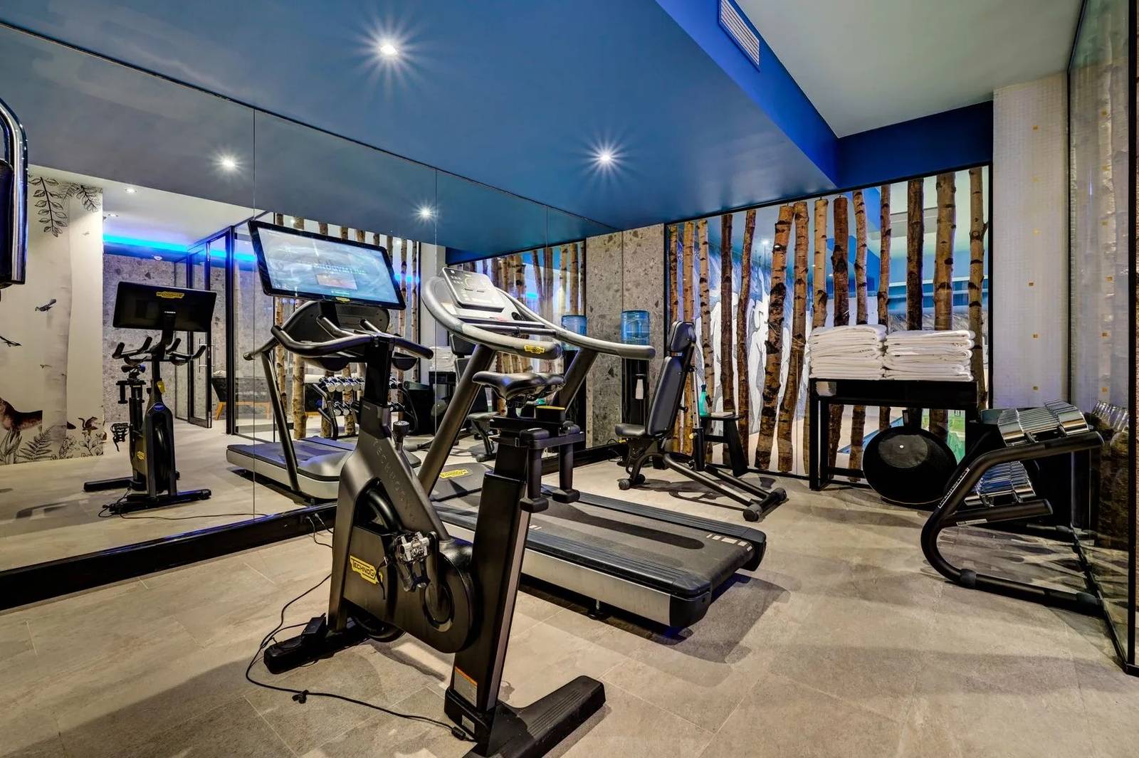 布魯塞爾 Juliana Hotel Brussels Technogym 健身房