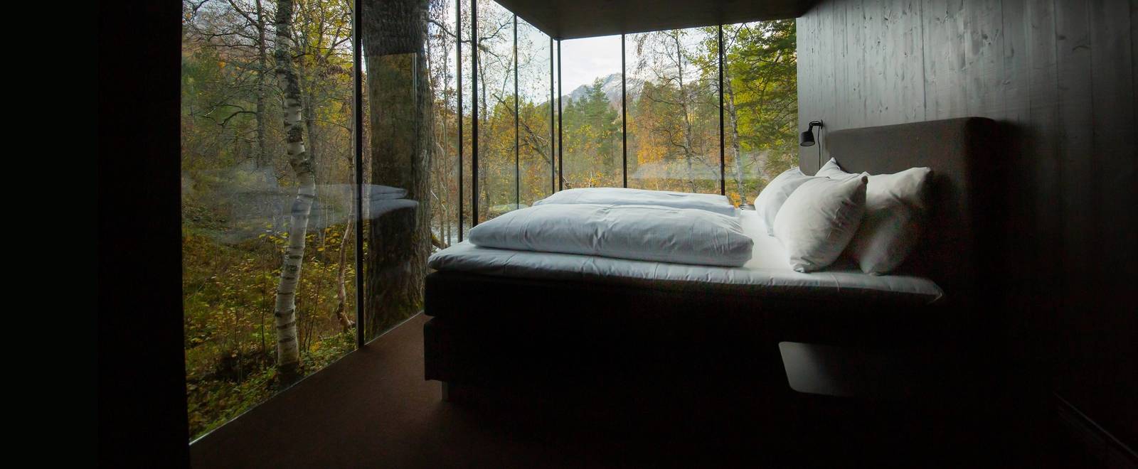 Juvet Landscape Room 臥室與落地玻璃窗