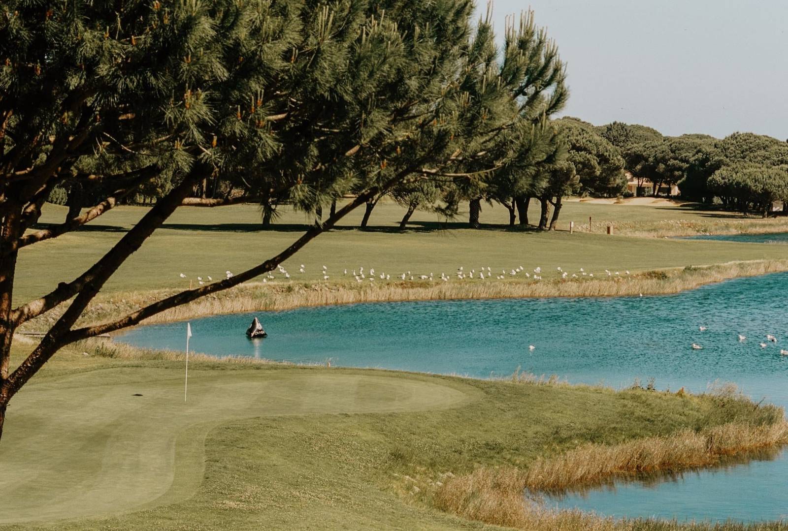 Onyria Quinta da Marinha 高爾夫球場湖景