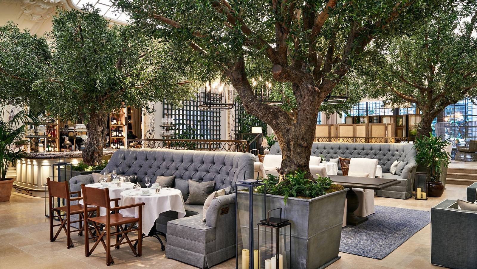 倫敦 Kimpton Fitzroy 酒店 Palm Court 綠樹座位區