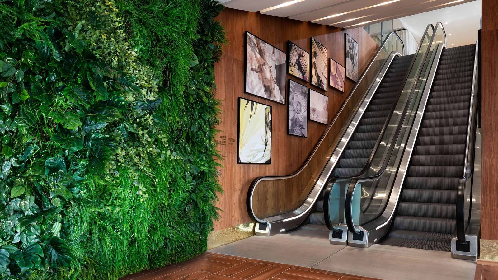 尼斯 Le Méridien Nice 入口電扶梯與植生牆