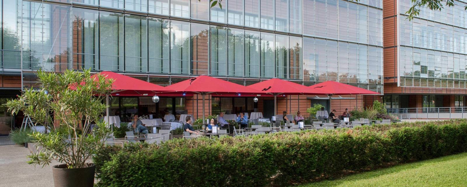 里昂萬豪國際城酒店紅色陽傘露台與花園