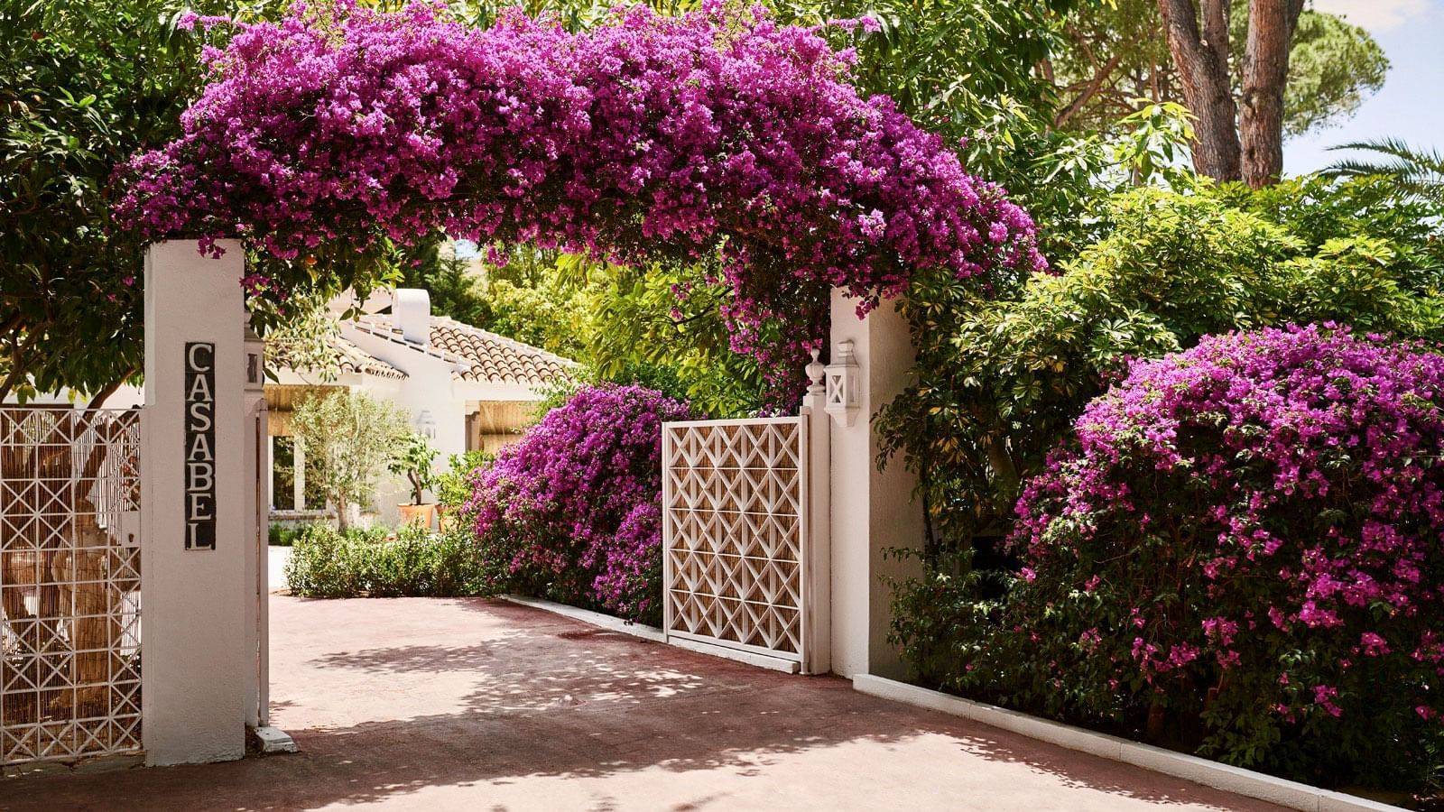 Marbella Club Hotel 開滿九重葛的花園入口