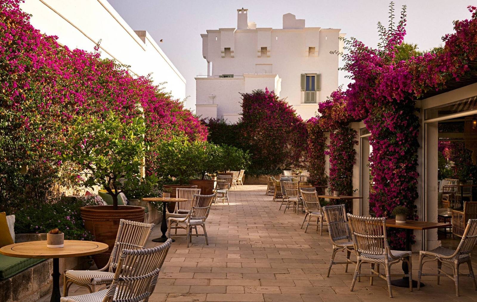 Masseria Torre Maizza Bougainvillea 九重葛露台