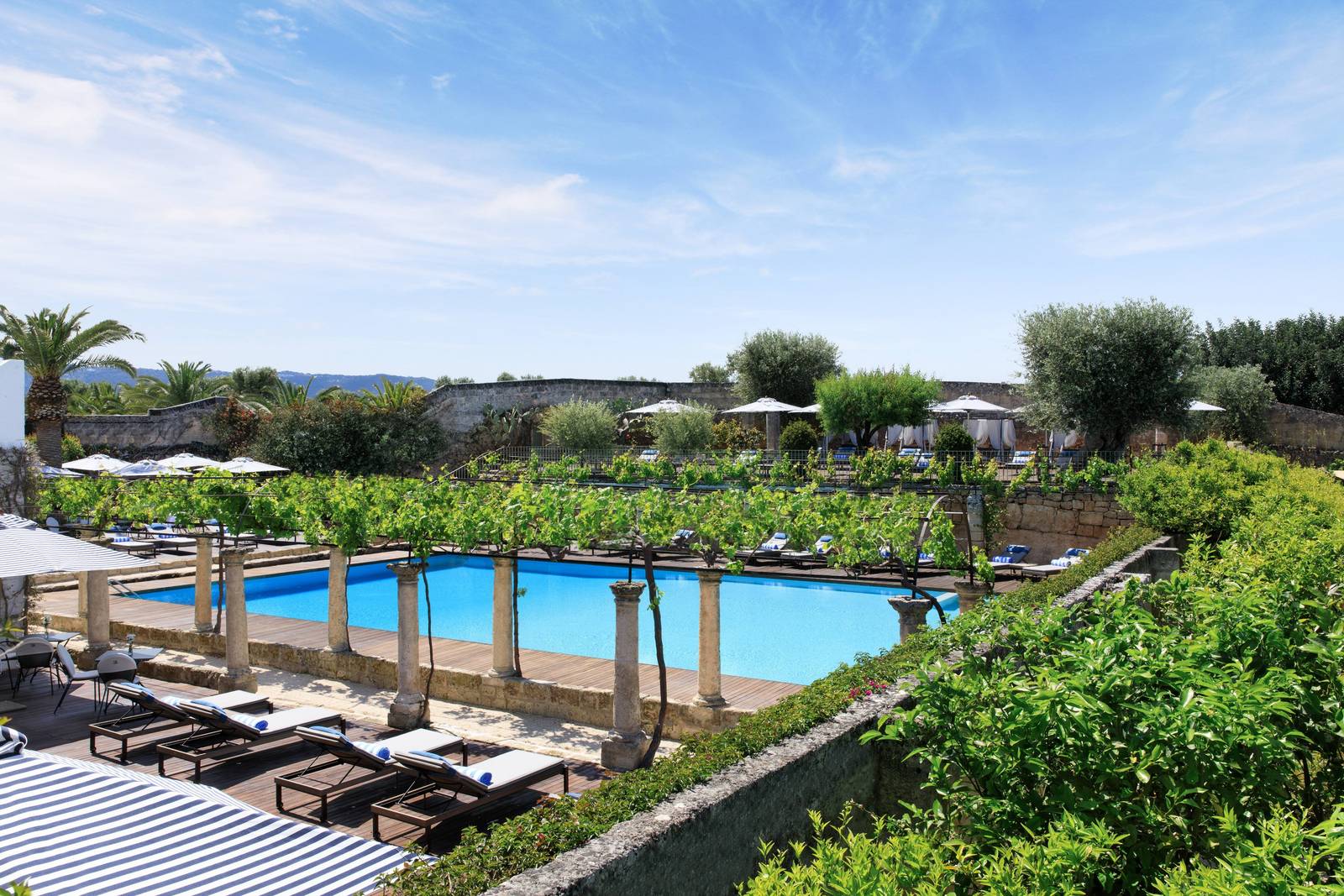 Masseria Torre Maizza 被綠意環繞的戶外泳池