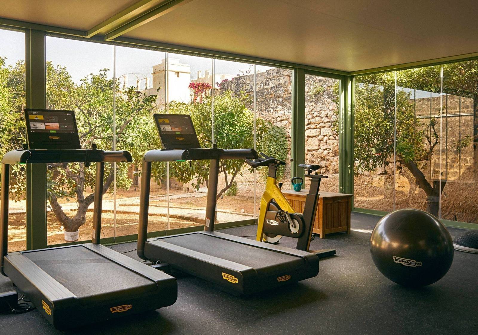 Masseria Torre Maizza Technogym 健身房