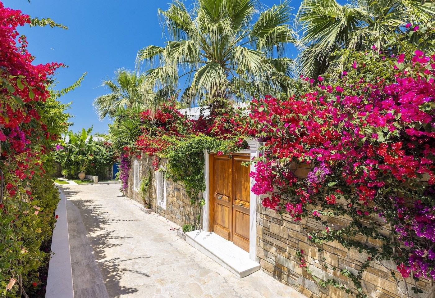 Porto Zante Villas & Spa 九重葛花園步道