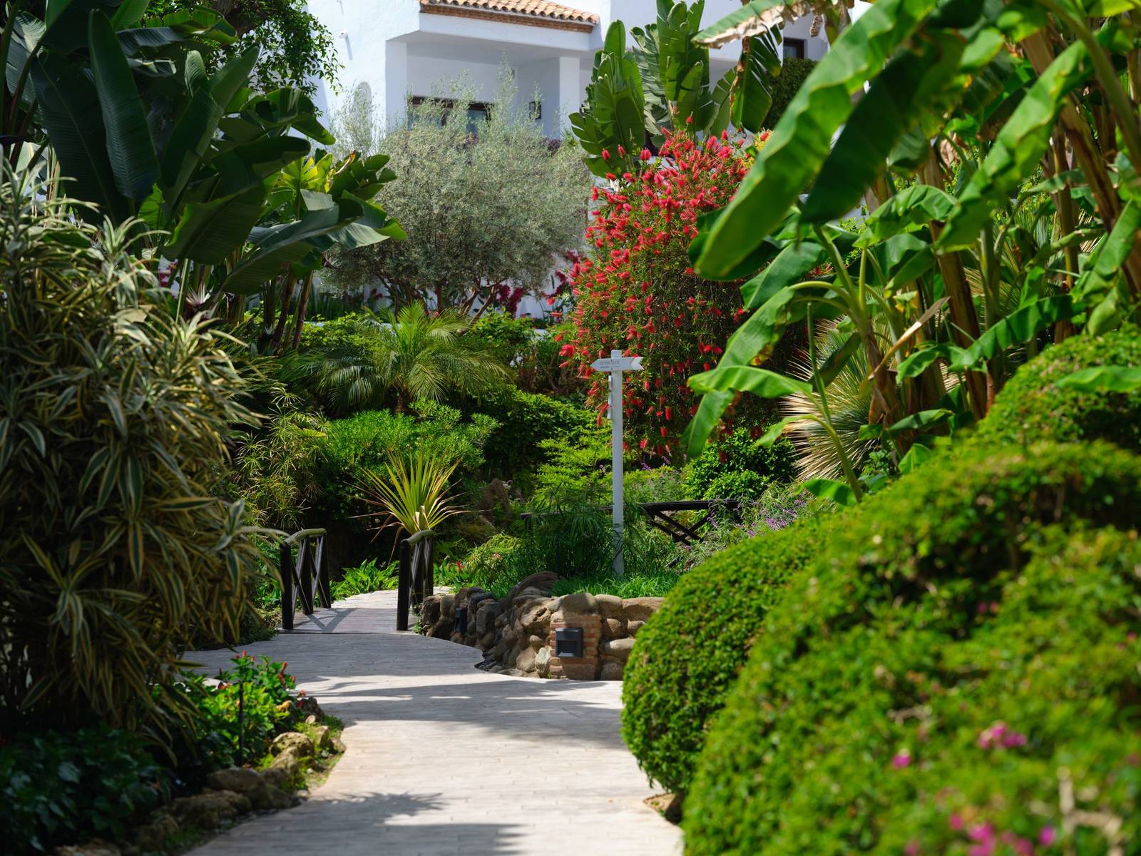 Puente Romano 亞熱帶植物園步道