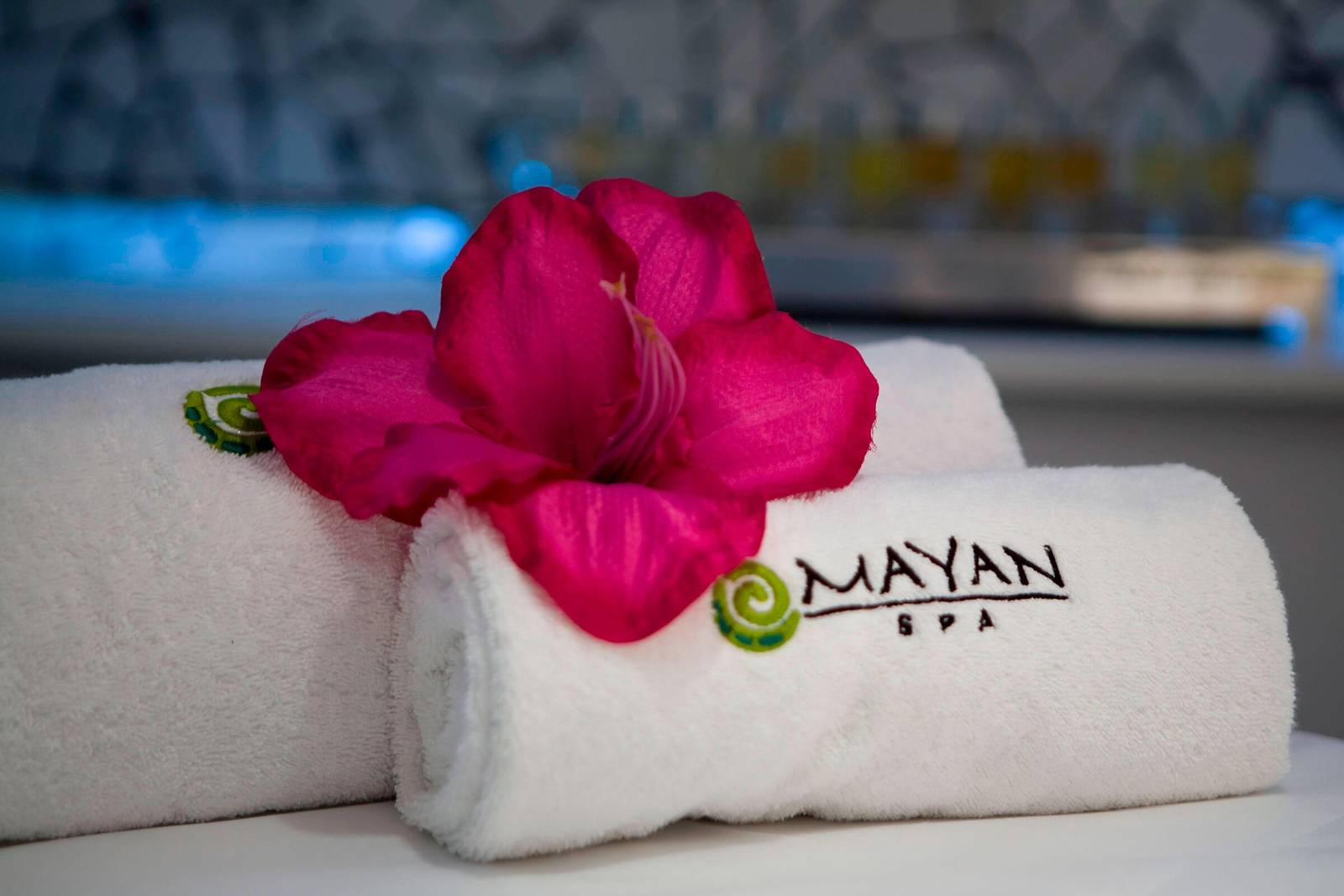 巴塞隆納 Renaissance Barcelona Hotel Mayan Spa