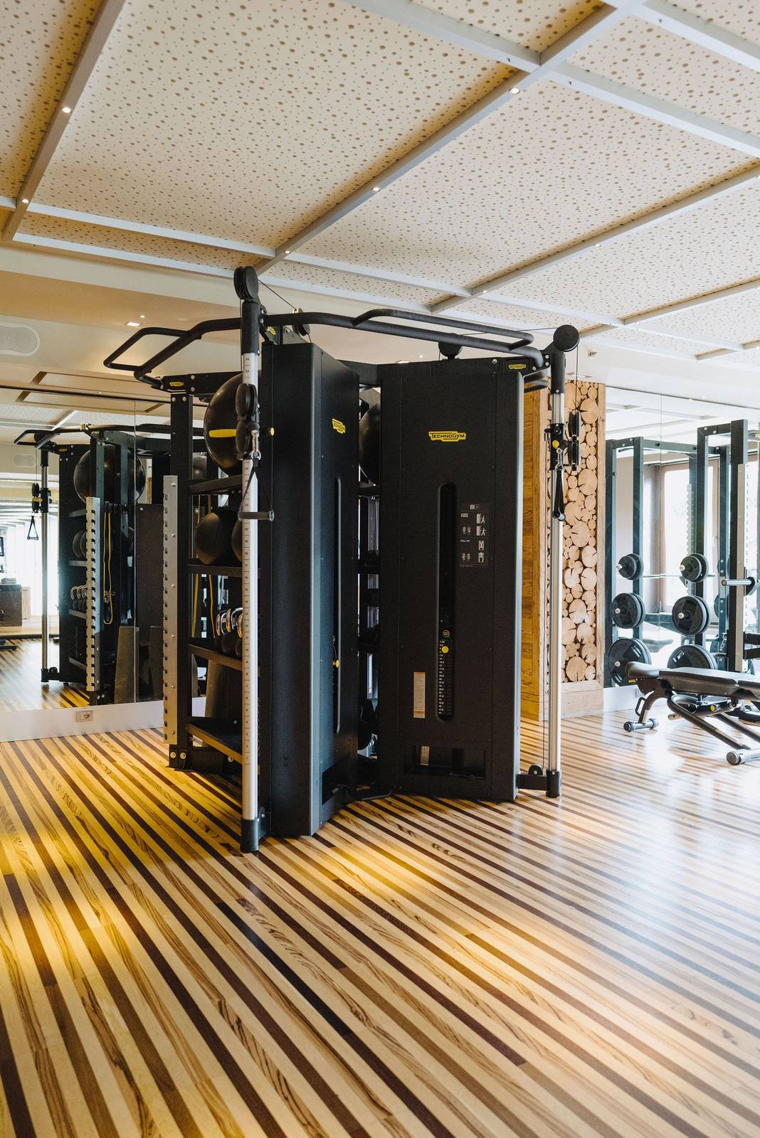 Rosapetra SPA Resort Technogym 健身房