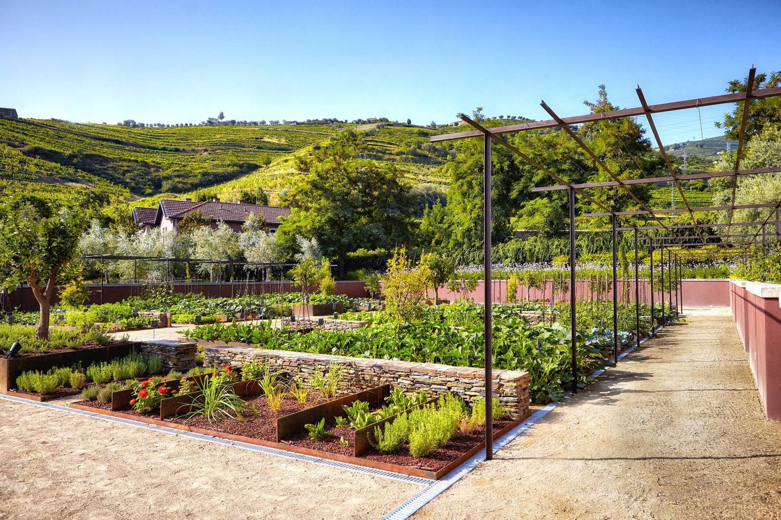 斗羅河谷 Six Senses Douro Valley 有機菜園