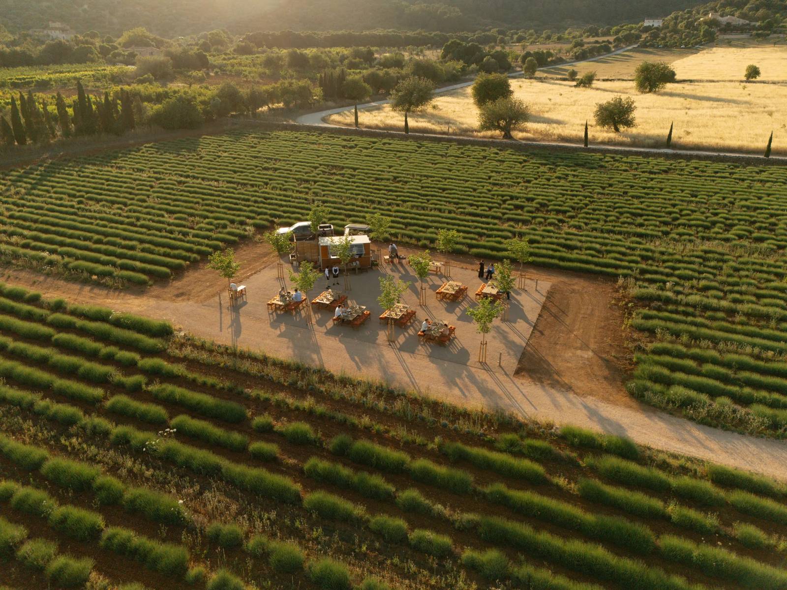 空拍 The Lodge Mallorca 薰衣草田間的戶外餐桌