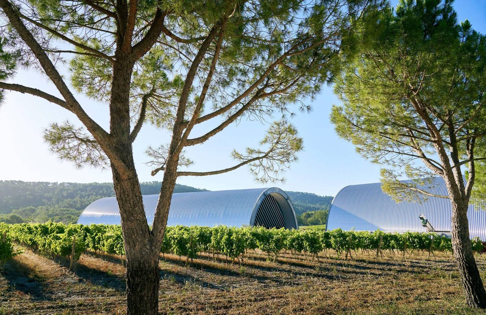 Château La Coste 酒莊葡萄園裡的藝術展館