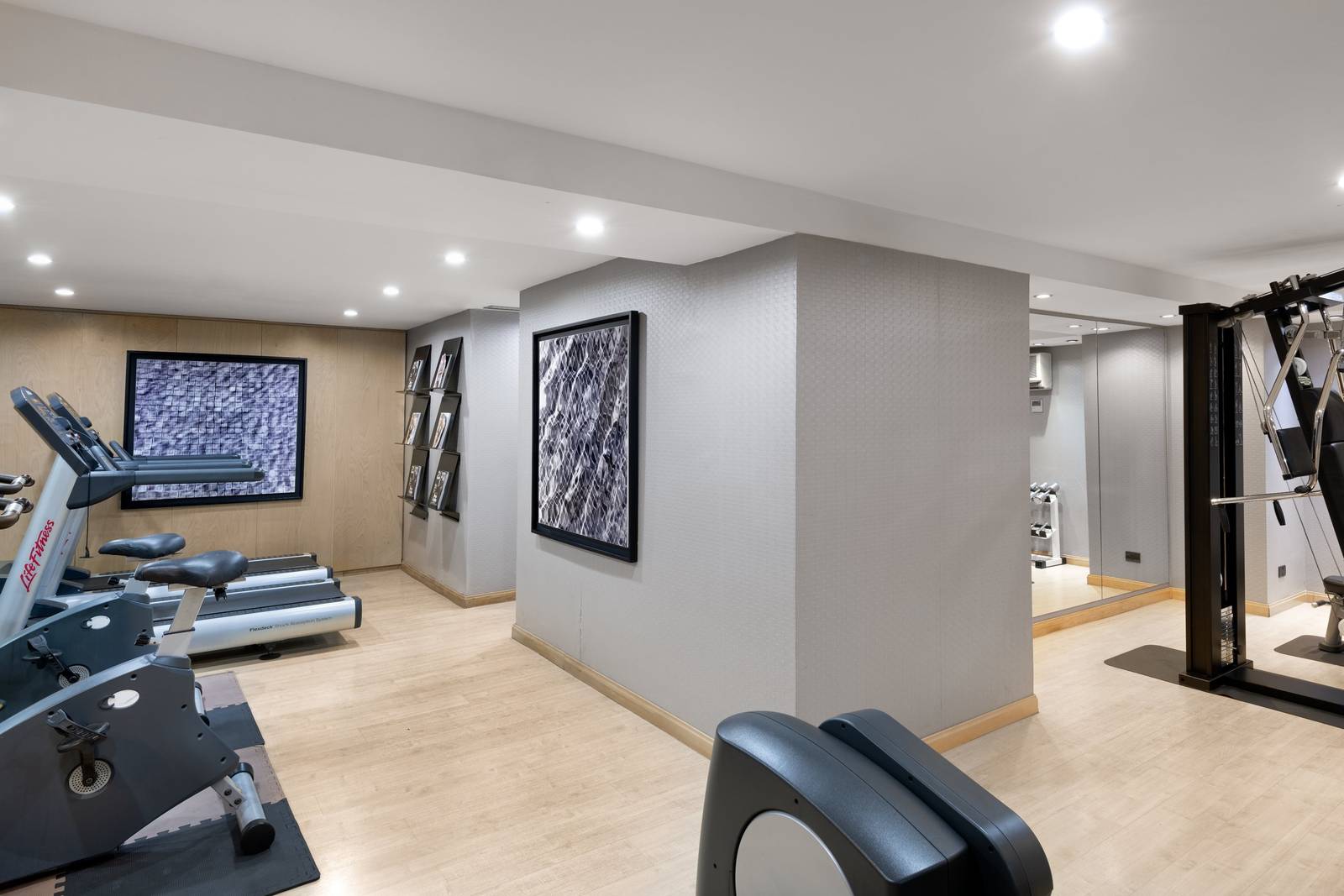 馬拉加 AC Hotel Málaga Palacio 健身房