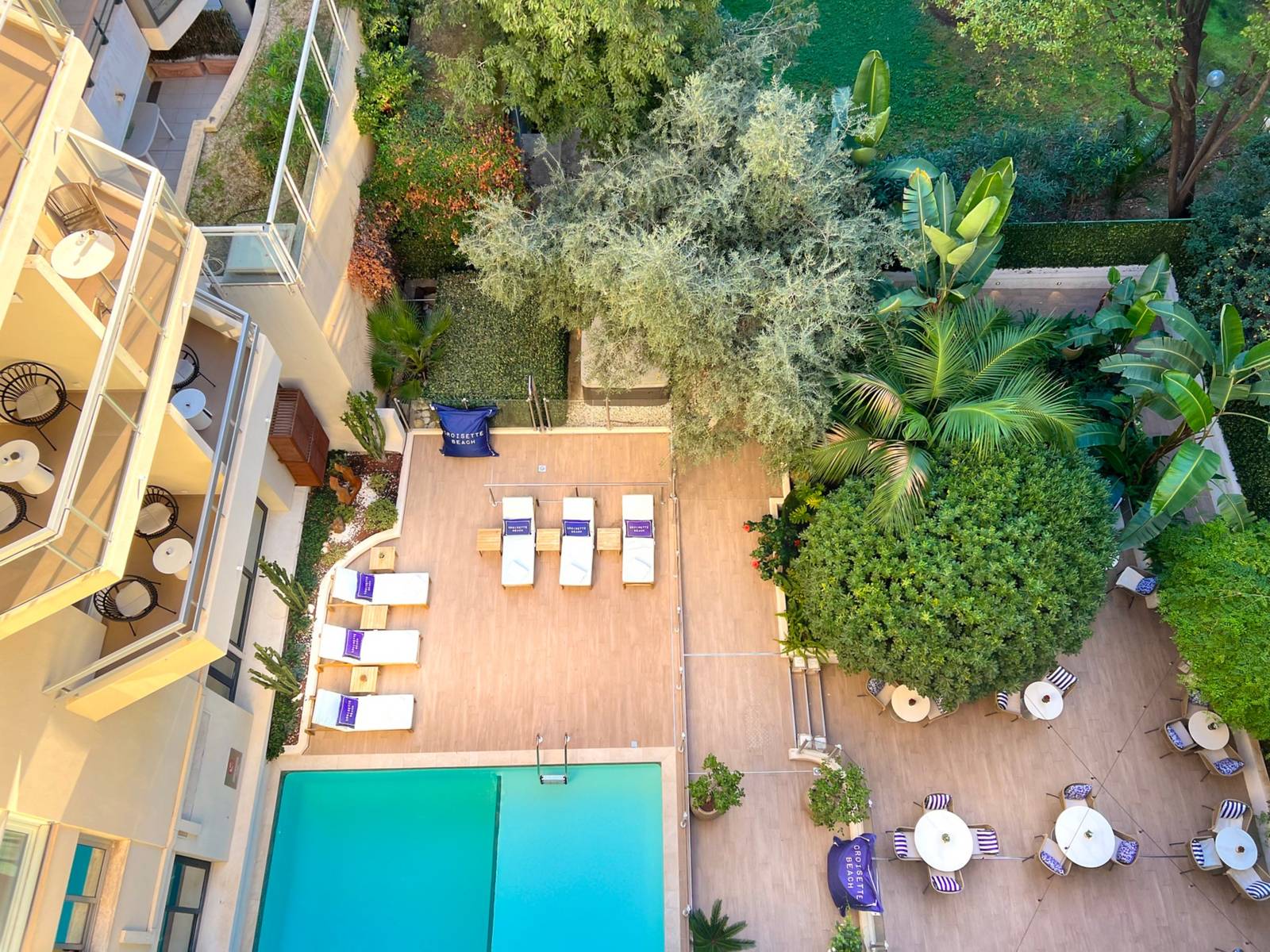 俯瞰 Croisette Beach Hotel 的花園中庭與泳池