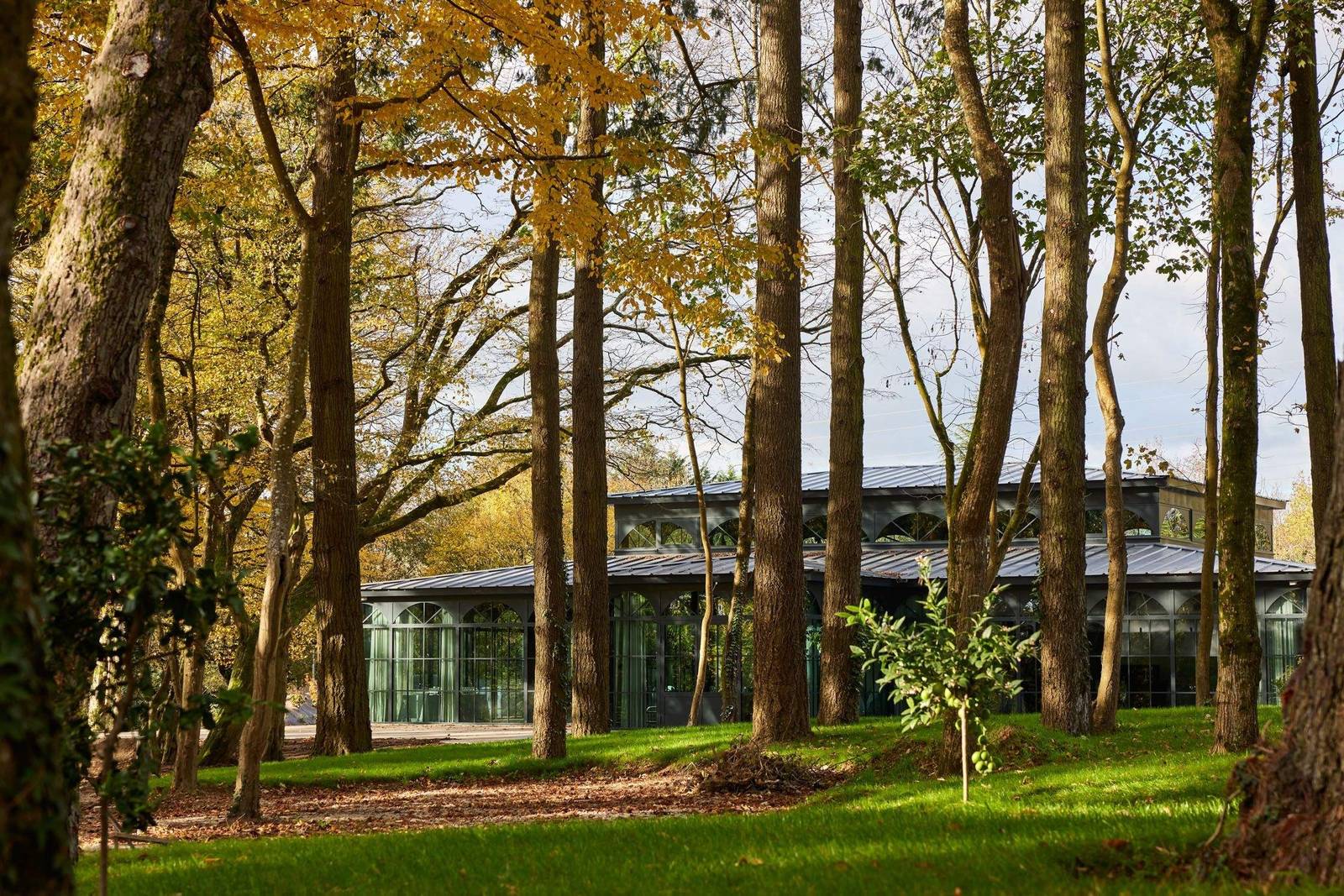 Le Domaine du Liziec 園區百年林木