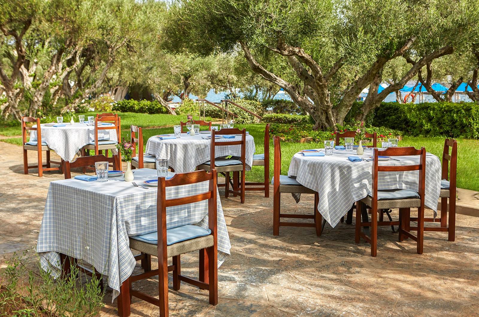 Elounda Beach Kafenion 橄欖樹下的希臘餐桌