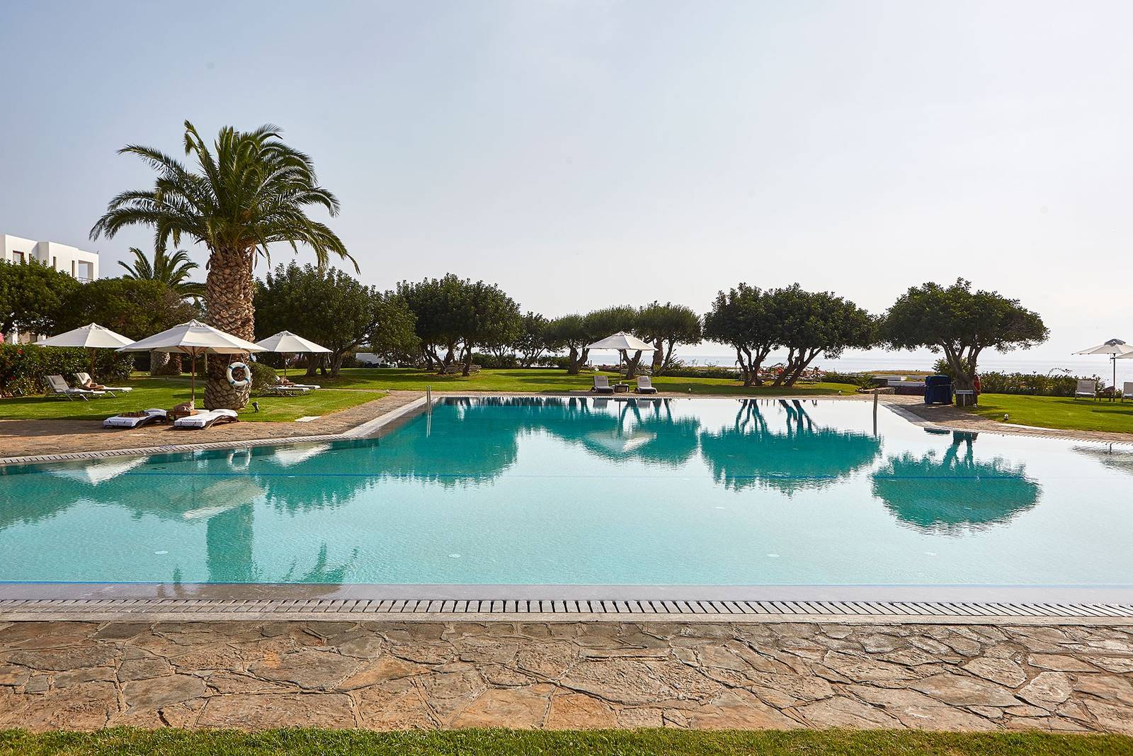 Elounda Beach 棕櫚樹旁的戶外泳池
